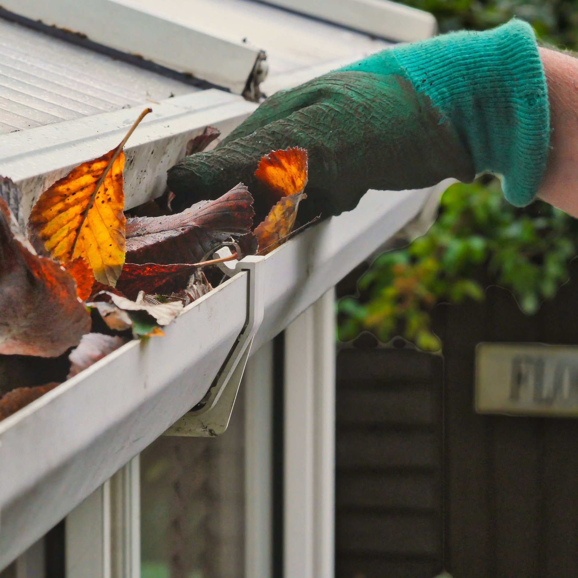 Hand with glove removing autumn leaves from gutter